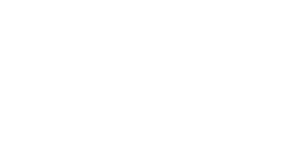 ESTERO-LOGO